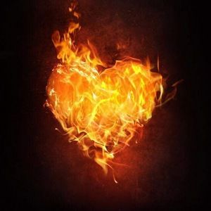 Meet your Posher, Sheila